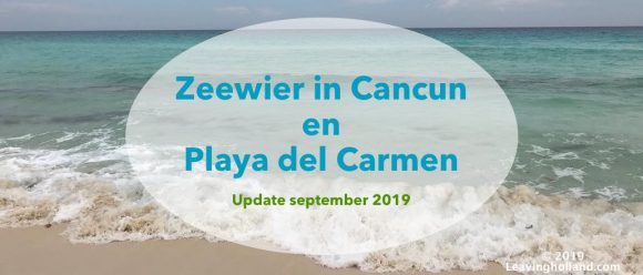 zeewier cancun en Playa del Carmen