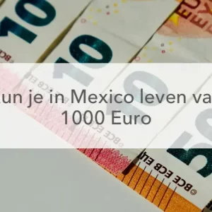 eurobiljetten van 10 en 50 euro en in het midden de tekst kin je in Mexico leven van 1000 euro