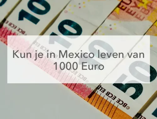 eurobiljetten van 10 en 50 euro en in het midden de tekst kin je in Mexico leven van 1000 euro