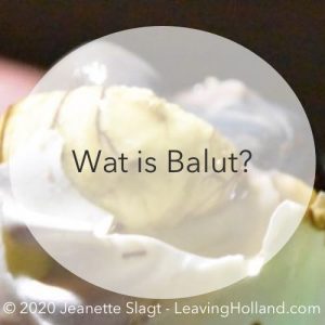 wat is balut, filipijnen