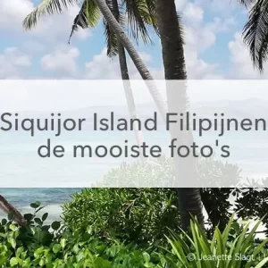 groene struiken, wit strand met palmbomen, azuurblauwe zee in het midden de tekst: Siquijor Island, Filipijnen de mooiste foto's