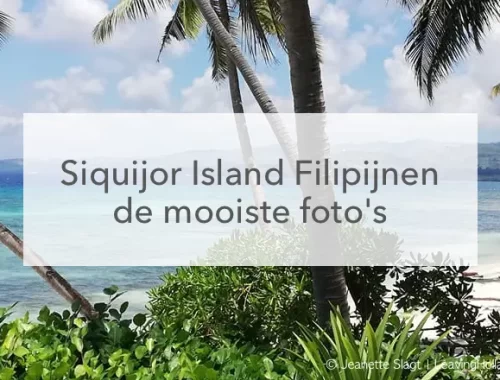 groene struiken, wit strand met palmbomen, azuurblauwe zee in het midden de tekst: Siquijor Island, Filipijnen de mooiste foto's