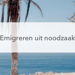 busje, palmbomen zee, tekst: emigreren uit noodzaak