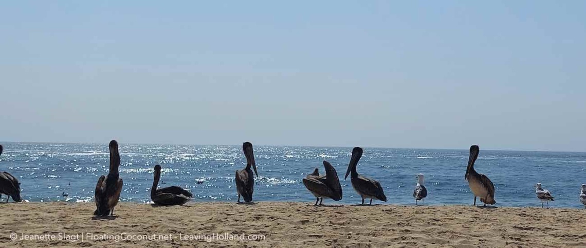 Ik woon in La Paz BCS