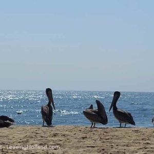 Ik woon in La Paz BCS