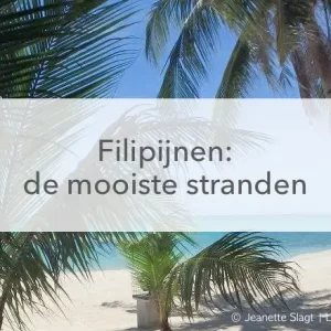 palmbomen op wit strand in het midden de tekst: Filipijnen, De mooiste stranden