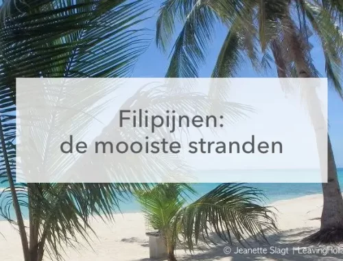 palmbomen op wit strand in het midden de tekst: Filipijnen, De mooiste stranden