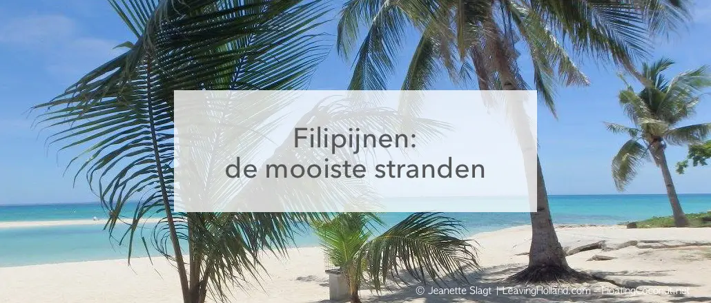palmbomen op wit strand in het midden de tekst: Filipijnen, De mooiste stranden