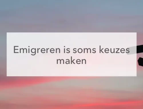 avondlucht met een wegwijzerbord in het midden de tekst : Emigreren is som skeuzes maken.