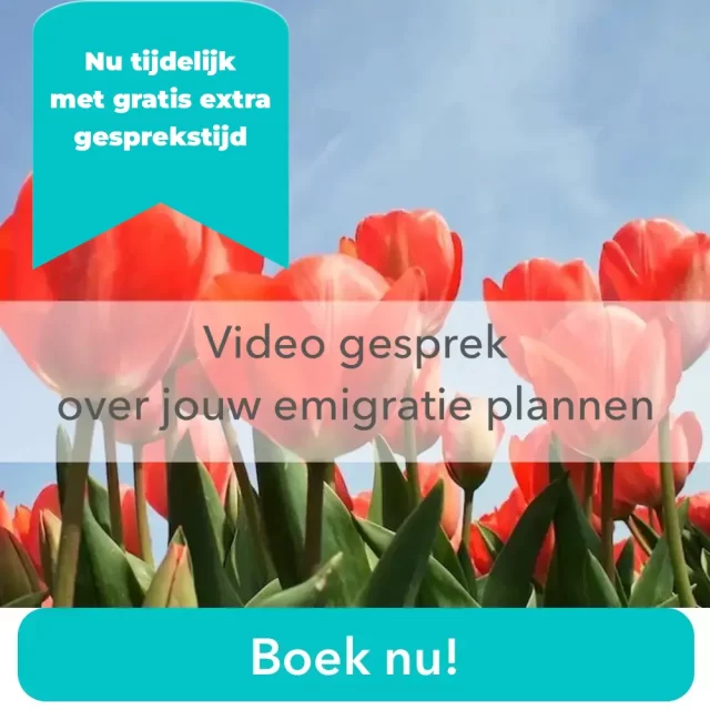 Rode tulpen, adviesgesprek Emigratie