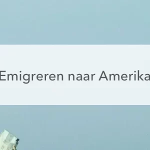 Vrijheidsbeeld Emigreren naar Amerika