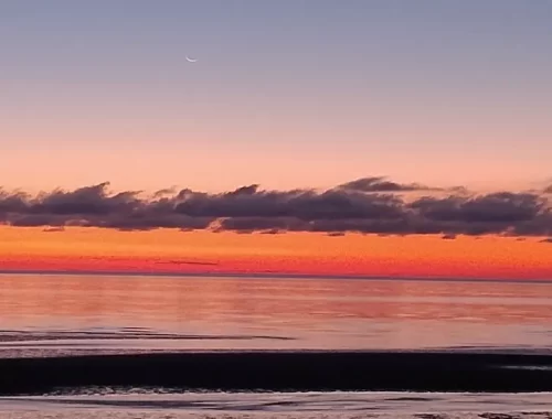 zee van Cortez, Mexico, dagenraad