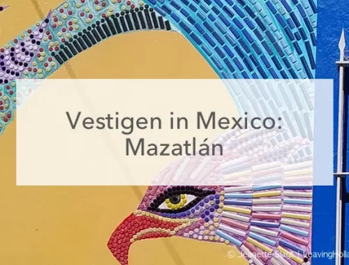 muurschildering fenix, vestigen in Mazatlan