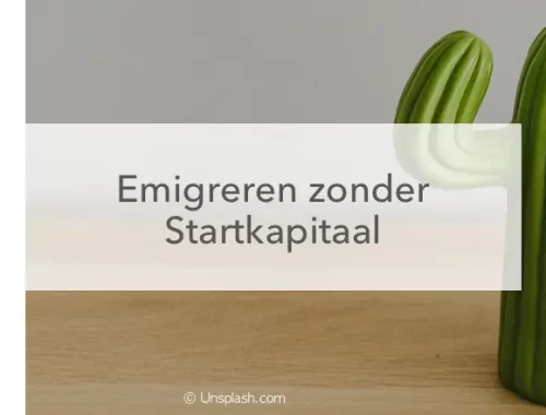 cactus spaarpot, emigreren zonder startkapitaal