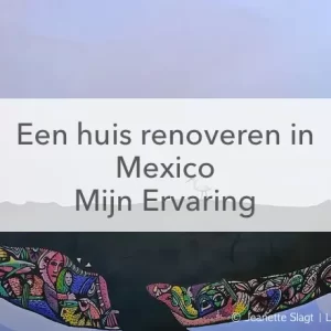muurschildering walvis huis opknappen in Mexico ervaring