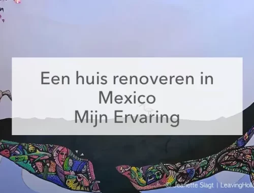 muurschildering walvis huis opknappen in Mexico ervaring