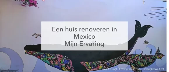 muurschildering walvis huis opknappen in Mexico ervaring