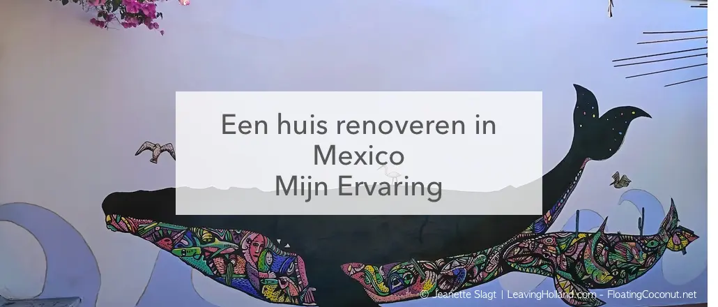 muurschildering walvis huis opknappen in Mexico ervaring