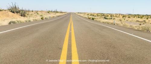 Sonora Woestijn, Mexico