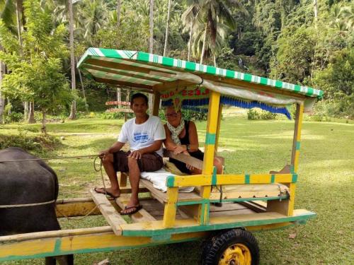 ossenkar, Filipijnen, Jeanette Slagt