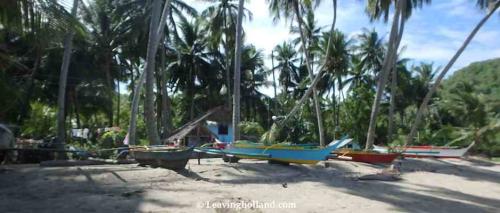 Vissersboten op de wal, palmbomen, wit strand