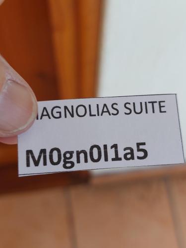 het briefje met mijn wachtwoord en internet van het hotel Magnolia Suites