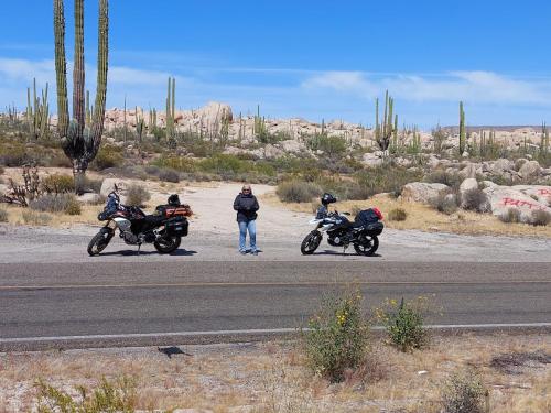 Sonora Woestijn, Mexico, Valle de los Cirrios, Baja California 