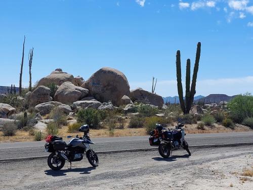 Sonora Woestijn, Mexico, Valle de los Cirrios, Baja California 