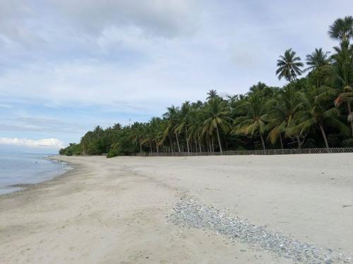 Wit kiezelstrand, palmbomen rechts, stukje blauwe zee links