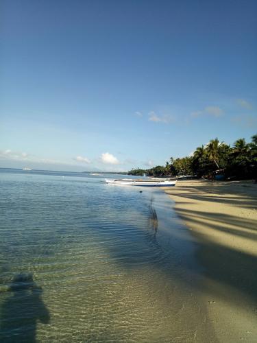 strand, rij palmbomen aan de rechterkant, vlakke blauw groene zee, blauwe lucht