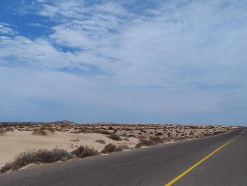 Sonora Woestijn, Mexico