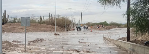 wadi in de regentijd, in Baja California Sur Mexico